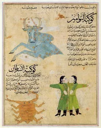 The Constellations of the Bull, the Twins and the Crab, illustration from 